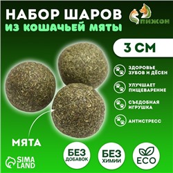 Набор шаров для кошек из кошачьей мяты 3 см