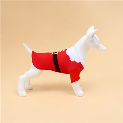 Толстовка для собак с колпаком Santa, S (ДС 25, ОГ 35 см)
