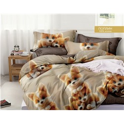 Постельное белье из поплина cтандарт ПВ27-1437