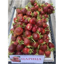 Царица, 6 шт.