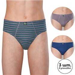 BULB3364(3) трусы для мальчиков (3 шт в кор.)