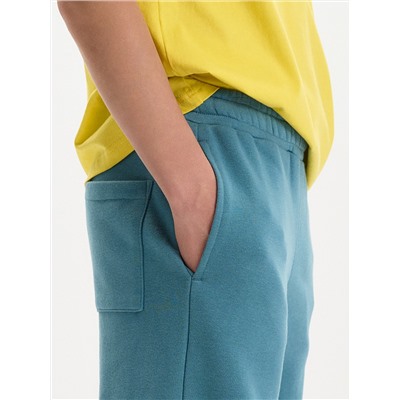 PELICAN Брюки BFPQ3387