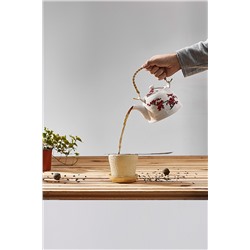 Заварочный чайник "Алеф" #188511