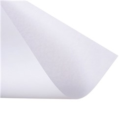 Набор 5 листов ватман, чертежный, А0, 840×1189, 200 г/м²