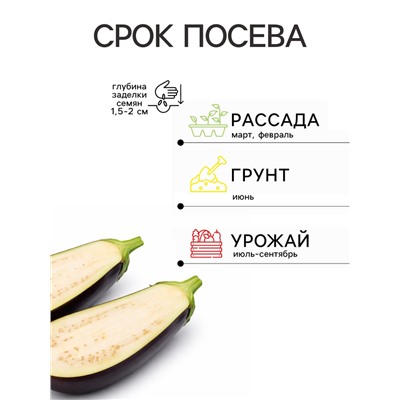 Семена Баклажан Внучок (УД) Е/П , Е/П,  20 шт.