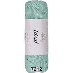 Пряжа Infinity Ideal