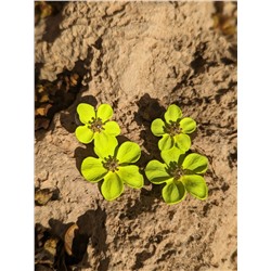 INGLESITA 60 fluor amarillo+Pendientes flores PA37368 limón АКЦИЯ