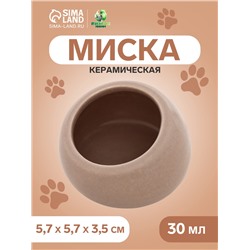 Миска керамическая для грызунов со скошенным краем 30 мл  5,7 х 5,7 х 3,5 см, серая