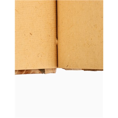 Блокнот в твёрдой обложке «Тропики», 48 листов, 13×16×2 см, бежево-коричневый