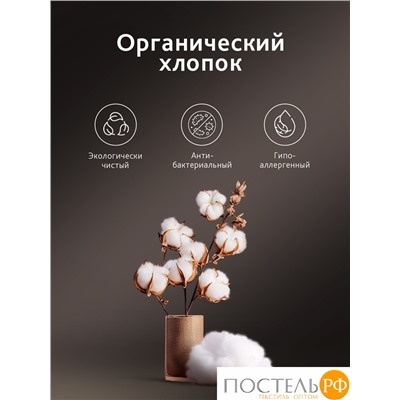CASSIA АЙЛА К-т Наволочек 70х70-2, 2 пр., хл./сатин розовый