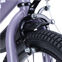 Велосипед 18" Krypton Beetle CB01-18FM цвет Dark Violet