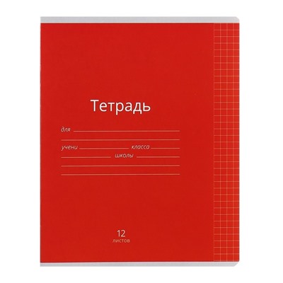 Комплект тетрадей из 10 штук, 12 листов в клетку Calligrata «Однотонная Классика яркая», обложка мелованная бумага, ВД-лак, блок офсет, 5 видов по 2 штуки