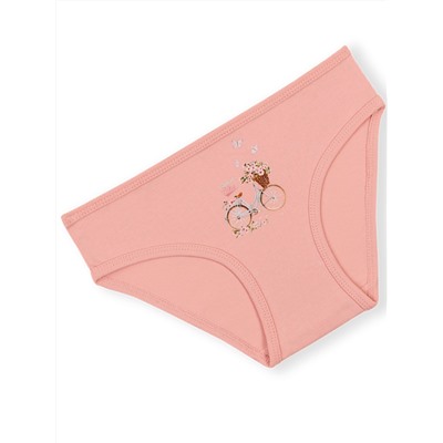 5842 Трусы для девочек многоцвет (BAYKAR)