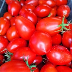 Помидоры Нова из Салерно — Pomodori Nova Di Salerno (10 семян)