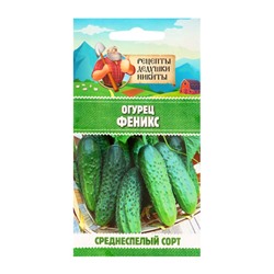 Семена Огурец «Феникс», пчелоопыляемый, среднеспелый, 0.5 г