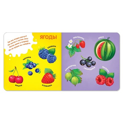 Книги картонные «Знакомимся с окружающим миром», набор 4 шт. по 10 стр.