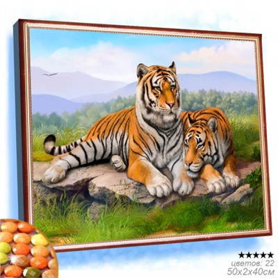 Алмазная мозаика на подрамнике 40x50 / YSG1121 /уп 30/