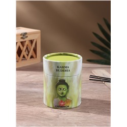 Благовония KARMA BUDDHA, аромаконусы, корица, набор 30 шт.