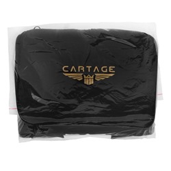 Термосумка Cartage Т-16, синяя, 10 л, 26×19×19 см