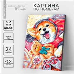 Картина по номерам на холсте с подрамником «Корги с игрушкой», 40×50 см