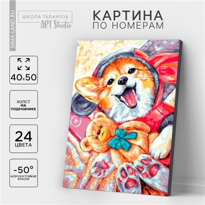 Картина по номерам на холсте с подрамником «Корги с игрушкой», 40×50 см