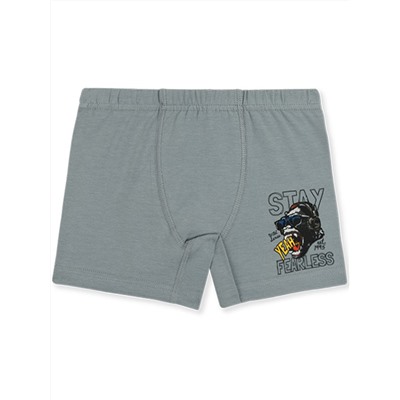 3568 Боксеры для мальчиков многоцвет (BAYKAR)