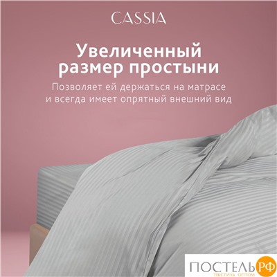 CASSIA ЛЮКС Страйп Сатин сер Простыня 230х250-1, 1 пр., хл/сатин