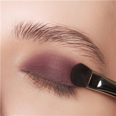 Тени матовые С117 Сливовый десерт