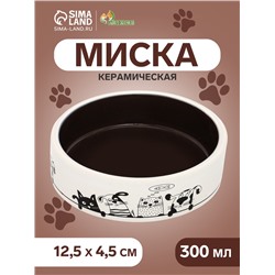 Миска керамическая «Весёлые котики» 300 мл - 12.5×12.5×4.5 cм, чёрная/белая