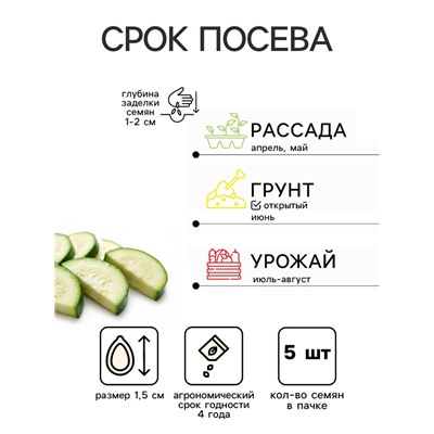 Семена Кабачок «Белый рыцарь», 5 шт., «Сибирский сад»