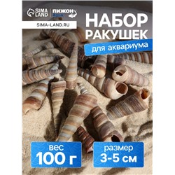 Набор ракушек, 3 - 5 см, 100 г