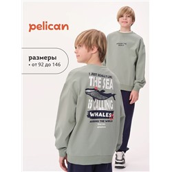PELICAN Толстовка BFN3371U