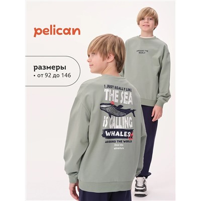 PELICAN Толстовка BFN3371U