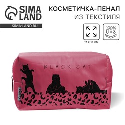 Косметичка Black Cat 17×10×5 см, на молнии
