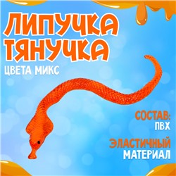 Липучка «Змеёныш», цвета МИКС