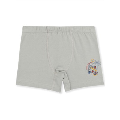 3536 Боксеры для мальчиков многоцвет (BAYKAR)