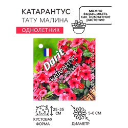 Семена цветов Катарантус "Тату Малина", 5 шт