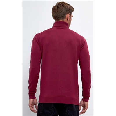 Водолазка мужская F121-01-868 бордовая