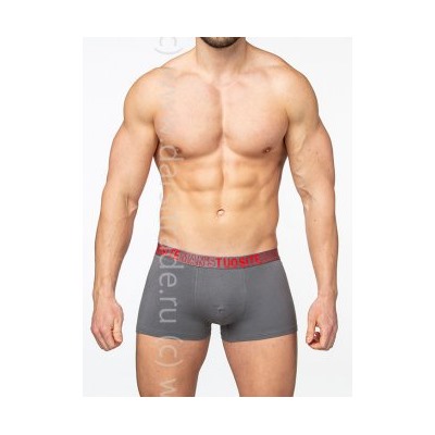 TS7804-1 Трусы мужские Дроп Tousite боксеры