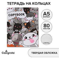Тетрадь на кольцах A5, 80 листов в клетку, Calligrata «Коты»