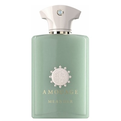 AMOUAGE MEANDER edp (m) 100ml TESTER