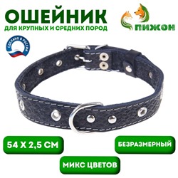 Ошейник кожаный тисненый на фетре, 54 х 2,5 см, безразмерный, микс цветов
