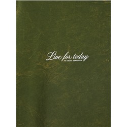 MARK FORMELLE Футболка 111883