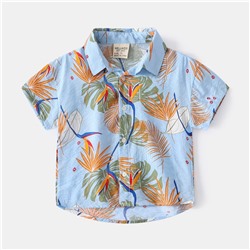 WELLKIDS tx2444