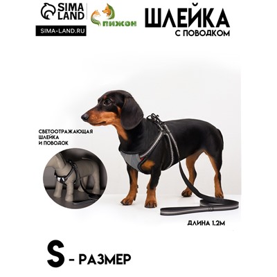 Комплект амуниции светоотражающий, размер S, ОГ 35-60 см, стропа 1,5 см, серый