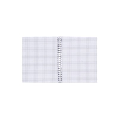 Набор тетрадей Calligrata «Аниме. Девочка с котом», 3 штуки, 96 листов, на гребне, обложка из мелованного картона