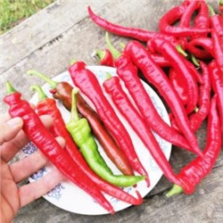 Деликатесный Перец Джимми Нарделло — Jimmy Nardello Pepper (10 семян)