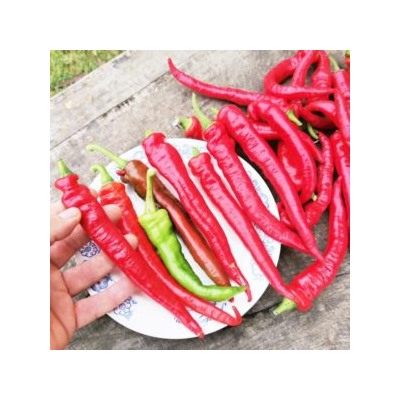 Деликатесный Перец Джимми Нарделло — Jimmy Nardello Pepper (10 семян)