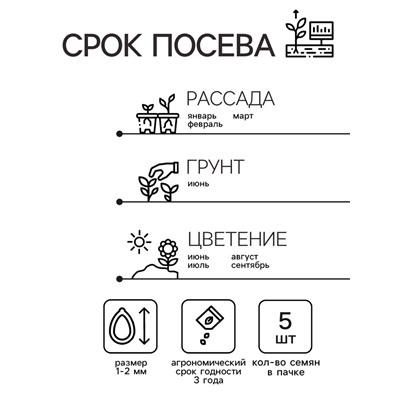 Семена комнатных цветов Пеларгония "Рафаэлла", F1, 5 шт.