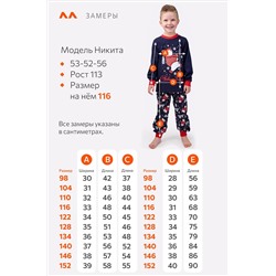 Детская новогодняя пижама Happyfox